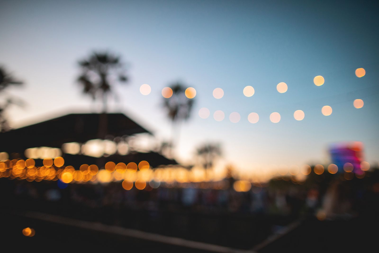 Festival lights at dusk